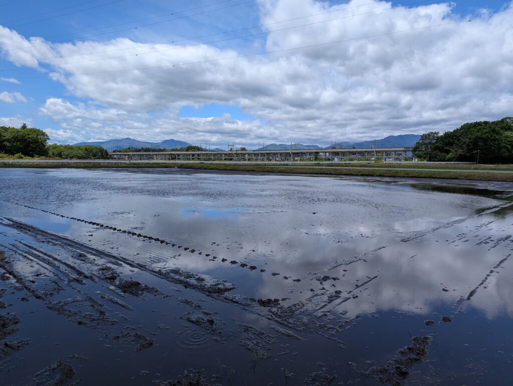 代掻きが終わり、田植えを待つ水田。空が水面に映り込む