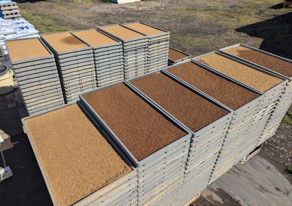 土入れが完了し、積み上げられた苗箱。培土がきれいに詰められている