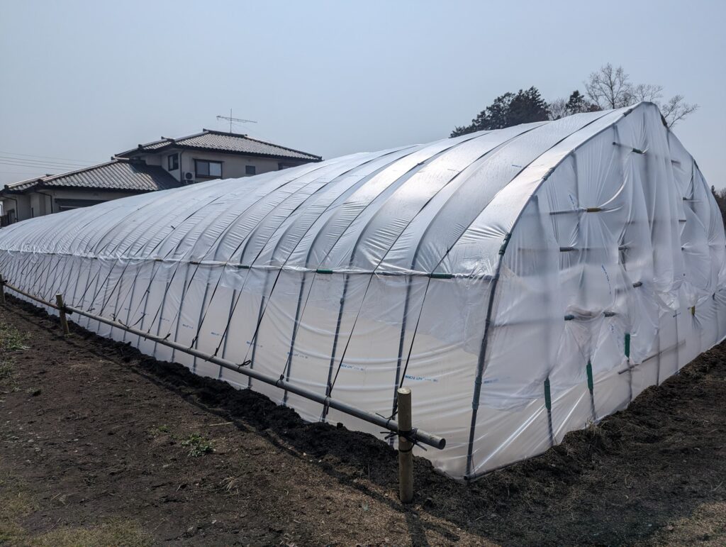 完成した育苗ビニールハウスを横から見た様子。骨組みに沿って真っ白なビニールがピンと張られている
